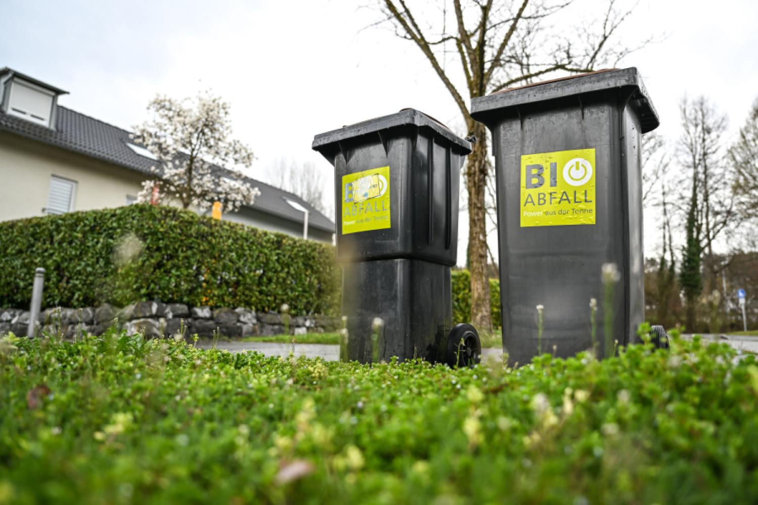 Ravensburg: Los contenedores para residuos orgánicos están listos para ser recogidos en el borde de la carretera. Los residuos orgánicos del distrito de Ravensburg han sido procesados durante años en Lustenau, Austria. Sin embargo, pronto se acabará con eso. (Foto: Felix Kästle/dpa)