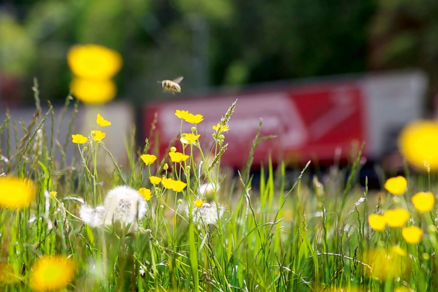 Para una mayor protección del clima en la cadena de transporte: Kombiverkehr KG y Shipzero quieren colaborar estrechamente en el futuro en la contabilización de emisiones de transporte. Foto: Kombiverkehr mbH &amp; Co. KG