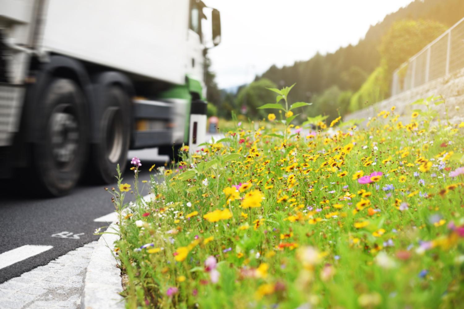 Logistics: The Road Freight Transport Commission is supposed to address the reduction of bureaucracy. (Photo: fotomowo/stock.adobe.com)