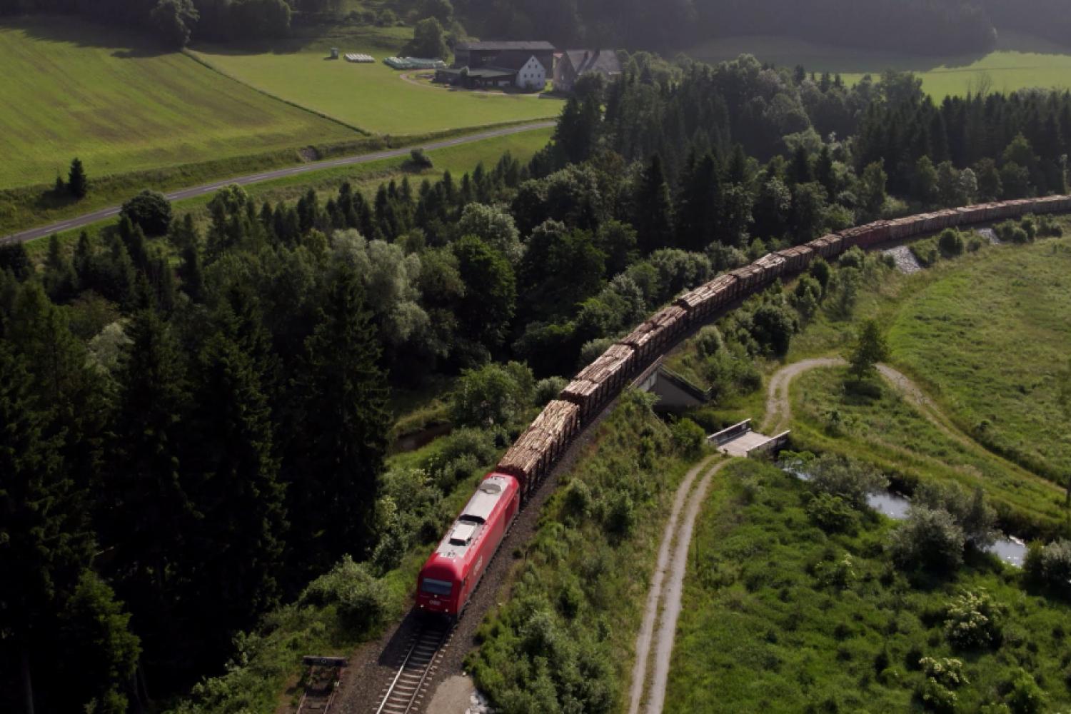 The RCG transports wood chips and round timber on behalf of Papierholz Austria – approximately 40,000 freight wagons are handled each year via the company's own sidings. (Photo: Groox)