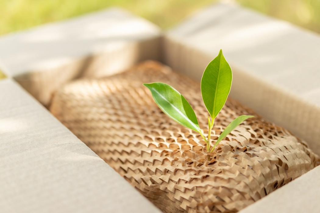 Sustainable packaging should be environmentally friendly without compromising on functionality and hygiene. (Image: Kwangmoozaa / stock.adobe.com)