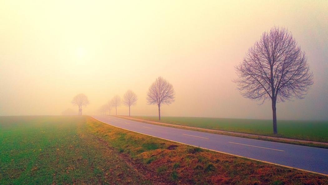 If visibility is less than 50 meters, according to ADAC, only a maximum speed of 50 km/h is allowed. And only then may the rear fog light be used. (Stock image: Pixabay)