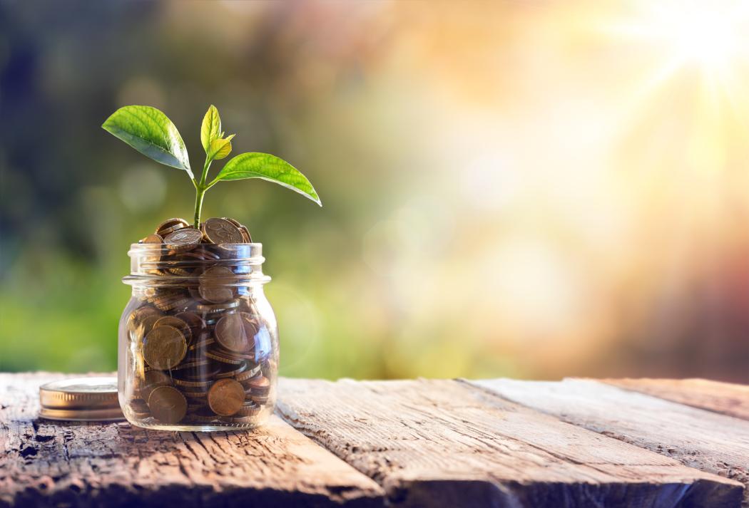 The e-commerce platform Galaxus introduced a voluntary climate levy a few years ago. However, due to rising inflation, fewer and fewer customers in Germany and Switzerland are making use of it. (Symbol image: Romolo Tavani/stock.adobe.com)