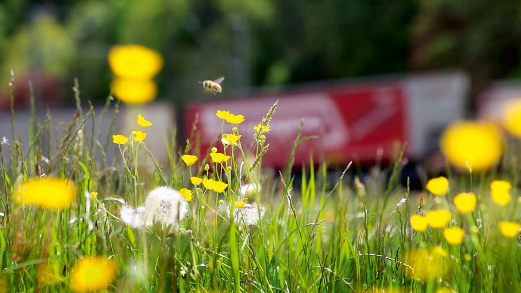 Dla większej ochrony klimatu w łańcuchu transportowym: Kombiverkehr KG i Shipzero chcą w przyszłości ściśle współpracować w zakresie rozliczania emisji transportowych. Foto: Kombiverkehr mbH &amp; Co. KG