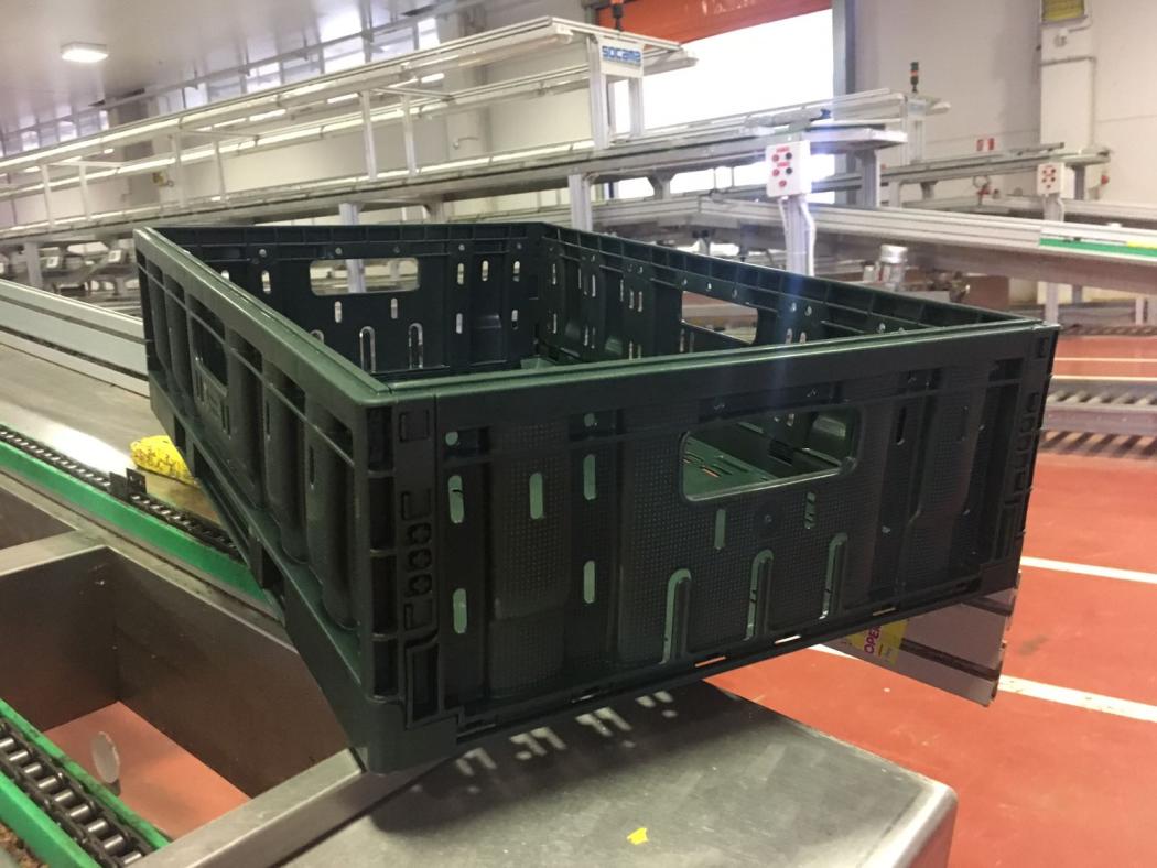 The grape supplier Il Visone relies on reusable containers from Tosca for harvesting and storage. (Photo: Tosca)